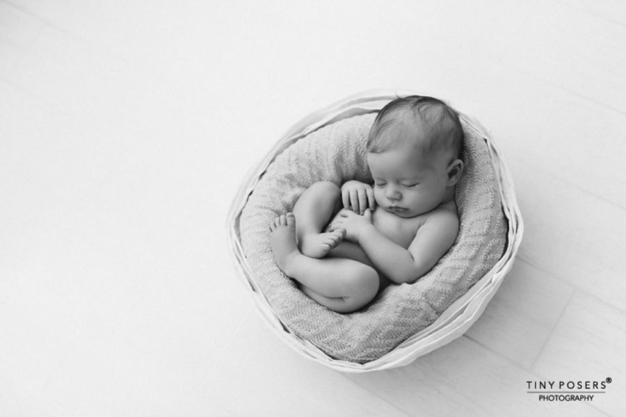 Basket for Newborn Photography Boy white - Mandy Vessel photoshoot props for sale eu