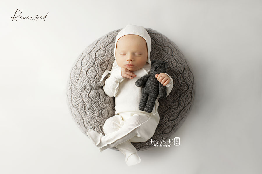 Baby-Bean-Bag-Poser-create-a-nest-newborn-photography-props-europe