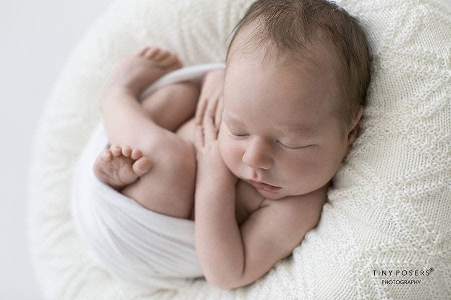 posing ring newborn photography props create-a-nest white polen