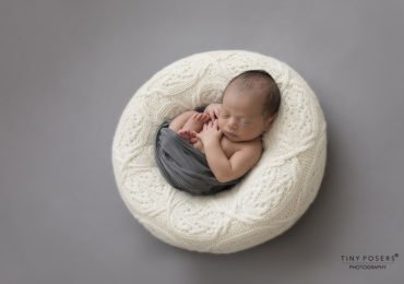 Baby Posing Prop - 'Create-a-Nest'™ Harrison white perfect posie eu