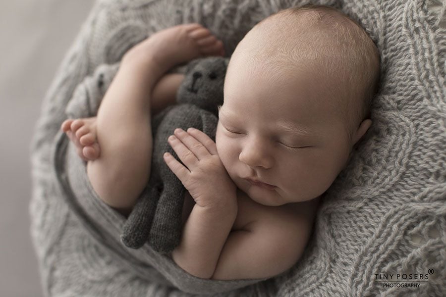 Baby Posing Prop - 'Create-a-Nest'™ Harrison newbornprops eu