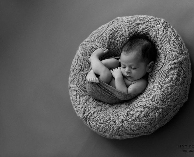 Newborn Poser ‘Create-a-Nest’™ - Must-Have Newborn Photography Prop Europe